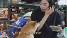 八卦爆料娱乐解说视频,娱乐解说视频背后的精彩故事  第3张
